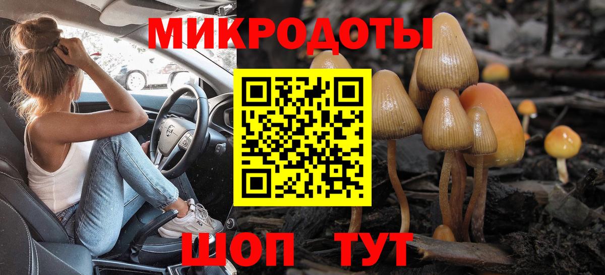Галлюциногенные грибы мухоморы  Вход с VPN  Галлюциногенные грибы Cubensis  Карталы 